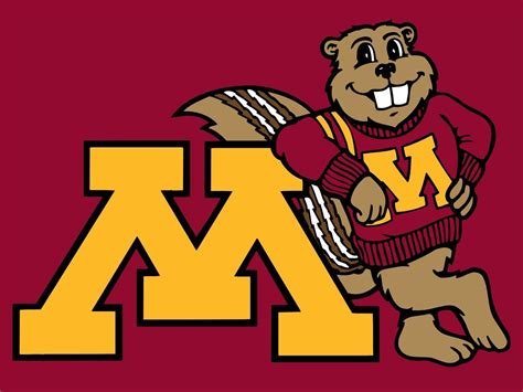 Umn football - The Minnesota Golden Gopher football program has been all but relevant in the past decade of Big Ten college football. Struggling to stay consistent, the Gophers posted solid records in 2002 and ...